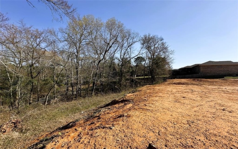 110 Elmwood Ct, Palestine, TX 75801, ,Land,For Sale,110 Elmwood Ct,0,21229268