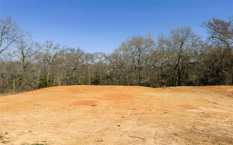 110 Elmwood Ct, Palestine, TX 75801, ,Land,For Sale,110 Elmwood Ct,0,21229268