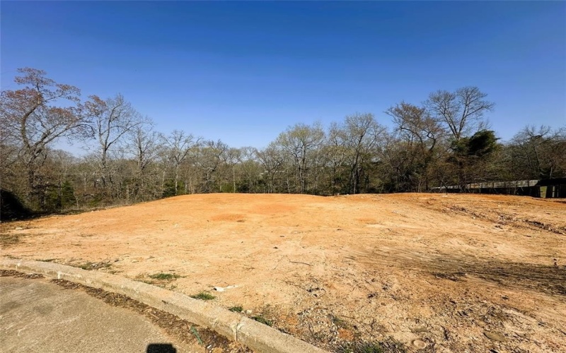 110 Elmwood Ct, Palestine, TX 75801, ,Land,For Sale,110 Elmwood Ct,0,21229268