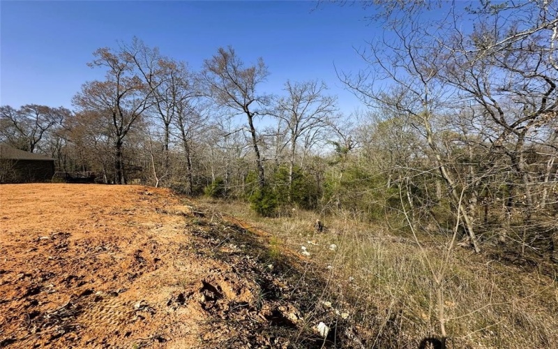 110 Elmwood Ct, Palestine, TX 75801, ,Land,For Sale,110 Elmwood Ct,0,21229268