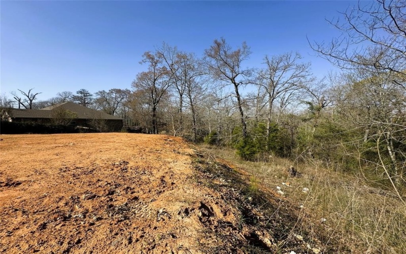 110 Elmwood Ct, Palestine, TX 75801, ,Land,For Sale,110 Elmwood Ct,0,21229268