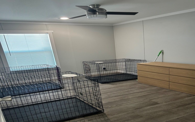 348 Remington, Eagle Pass, TX 78852, 4 Bedrooms Bedrooms, ,2 BathroomsBathrooms,Residential,For Sale,348 Remington,0,83270