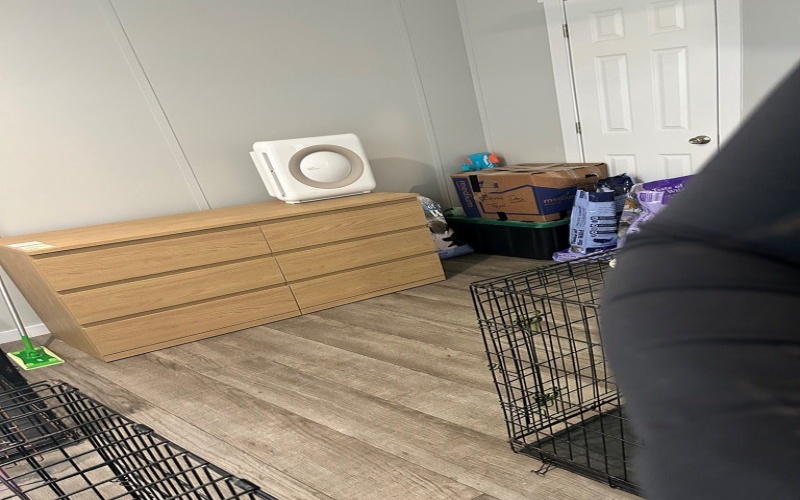 348 Remington, Eagle Pass, TX 78852, 4 Bedrooms Bedrooms, ,2 BathroomsBathrooms,Residential,For Sale,348 Remington,0,83270