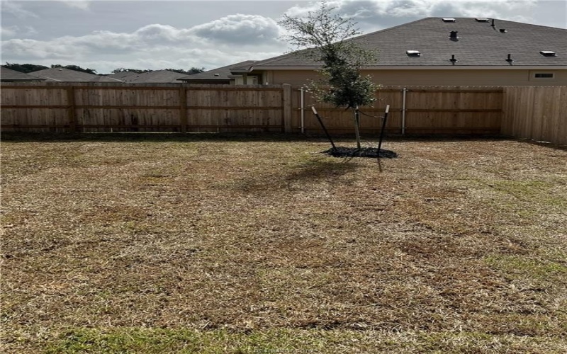 5304 Lyle Place, Bryan, TX 77807, 3 Bedrooms Bedrooms, ,2 BathroomsBathrooms,Residential,For Sale,5304 Lyle Place,25003805