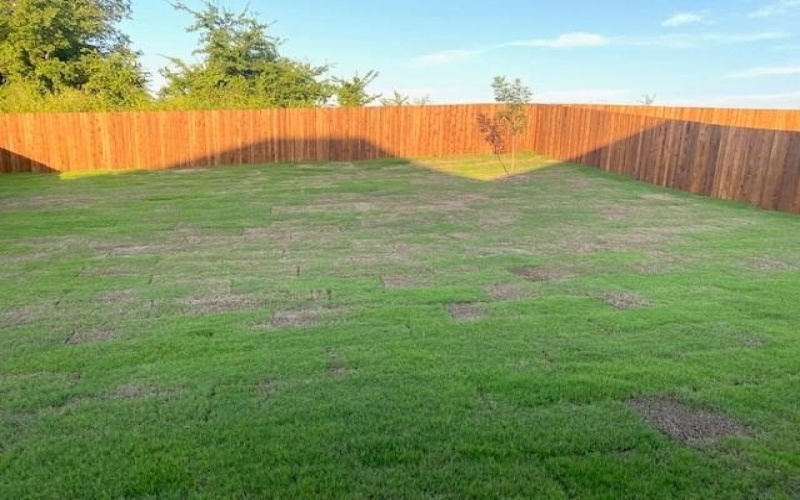 1902 CANYON Lane, Melissa, TX 75454, 4 Habitaciones Habitaciones , ,3 BañosBaños,Residential,En Venta,1902 CANYON Lane,0,21235166