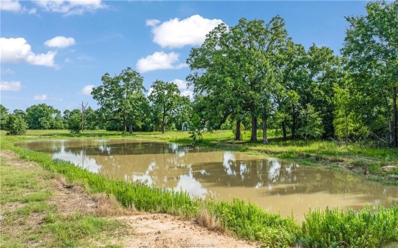 17303, 17305, 17401 Highway 21 W, North Zulch, TX 77872, 3 Bedrooms Bedrooms, ,3 BathroomsBathrooms,Residential,For Sale,17303,17305,17401 Highway 21 W,0,26004380