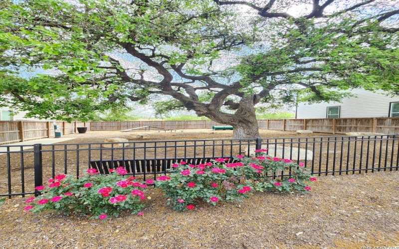 14839 Vance Jackson Rd Unit 601, San Antonio, TX 78249, 3 Habitaciones Habitaciones , ,2 BañosBaños,Residential,En Venta,14839 Vance Jackson Rd Unit 601,0,1953978