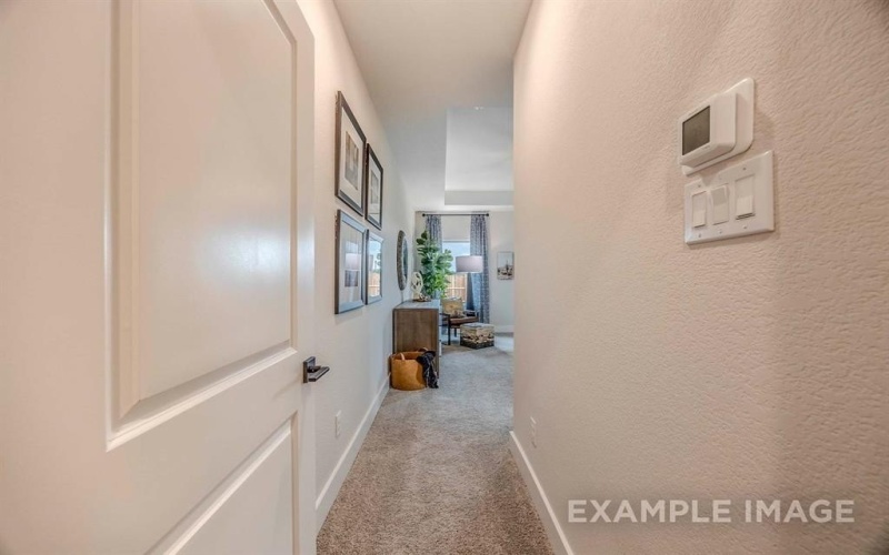 211 Briarwood Drive, Nevada, TX 75173, 4 Habitaciones Habitaciones , ,2 BañosBaños,Residential,En Venta,211 Briarwood Drive,20748822